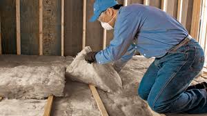 Best Crawl Space Insulation  in Chisholm, MN